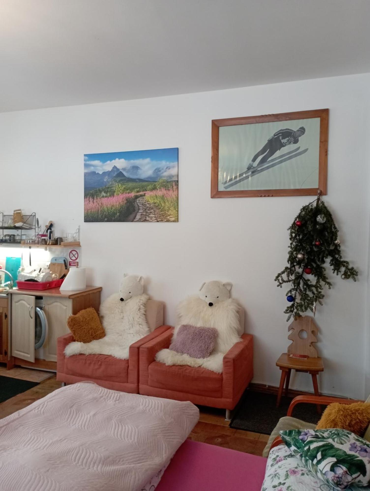 A3Apartament 2 Pokojowy Aneks Kuchenny 2 Lazienki Wlasne Na Korytarzu Villa Jumper Pobyt Na Termach Dla 2 Osob Gratis 扎科帕内 外观 照片