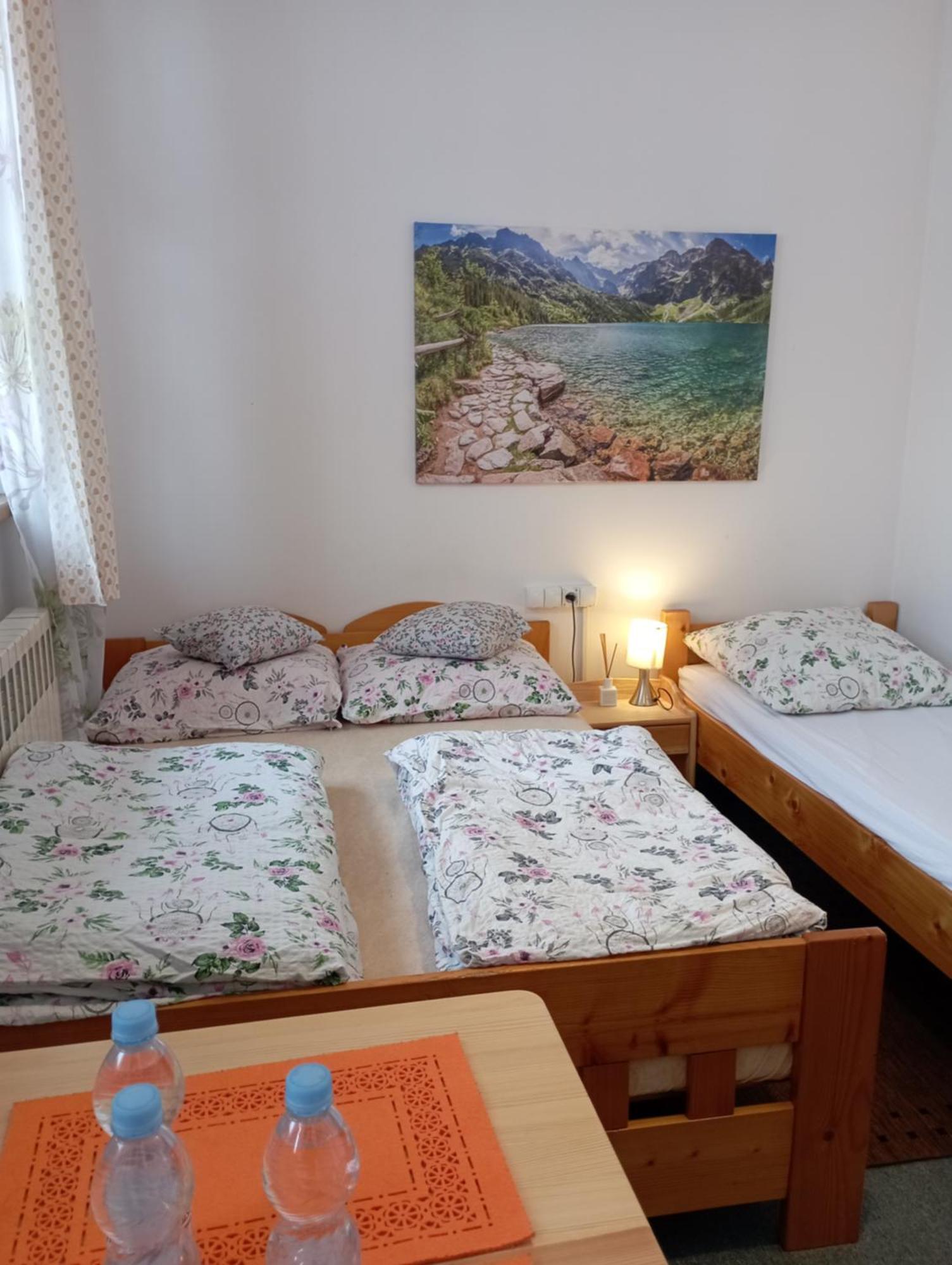 A3Apartament 2 Pokojowy Aneks Kuchenny 2 Lazienki Wlasne Na Korytarzu Villa Jumper Pobyt Na Termach Dla 2 Osob Gratis 扎科帕内 客房 照片